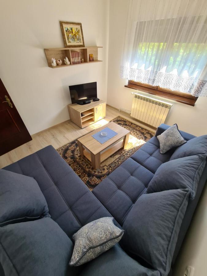 In Pavlovic Apartment Banja Koviljaca Ngoại thất bức ảnh