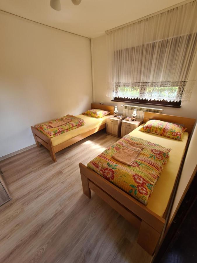 In Pavlovic Apartment Banja Koviljaca Ngoại thất bức ảnh