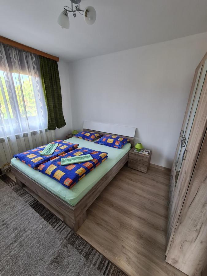 In Pavlovic Apartment Banja Koviljaca Ngoại thất bức ảnh