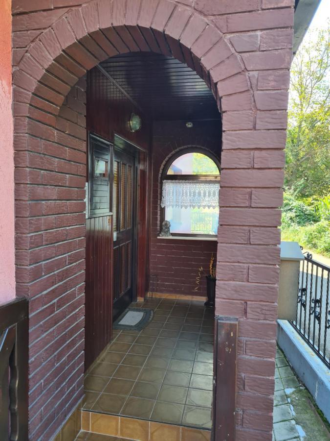 In Pavlovic Apartment Banja Koviljaca Ngoại thất bức ảnh