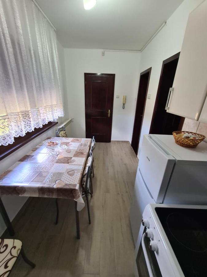 In Pavlovic Apartment Banja Koviljaca Ngoại thất bức ảnh
